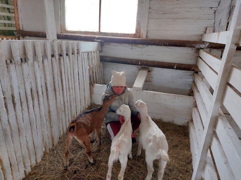 image11
