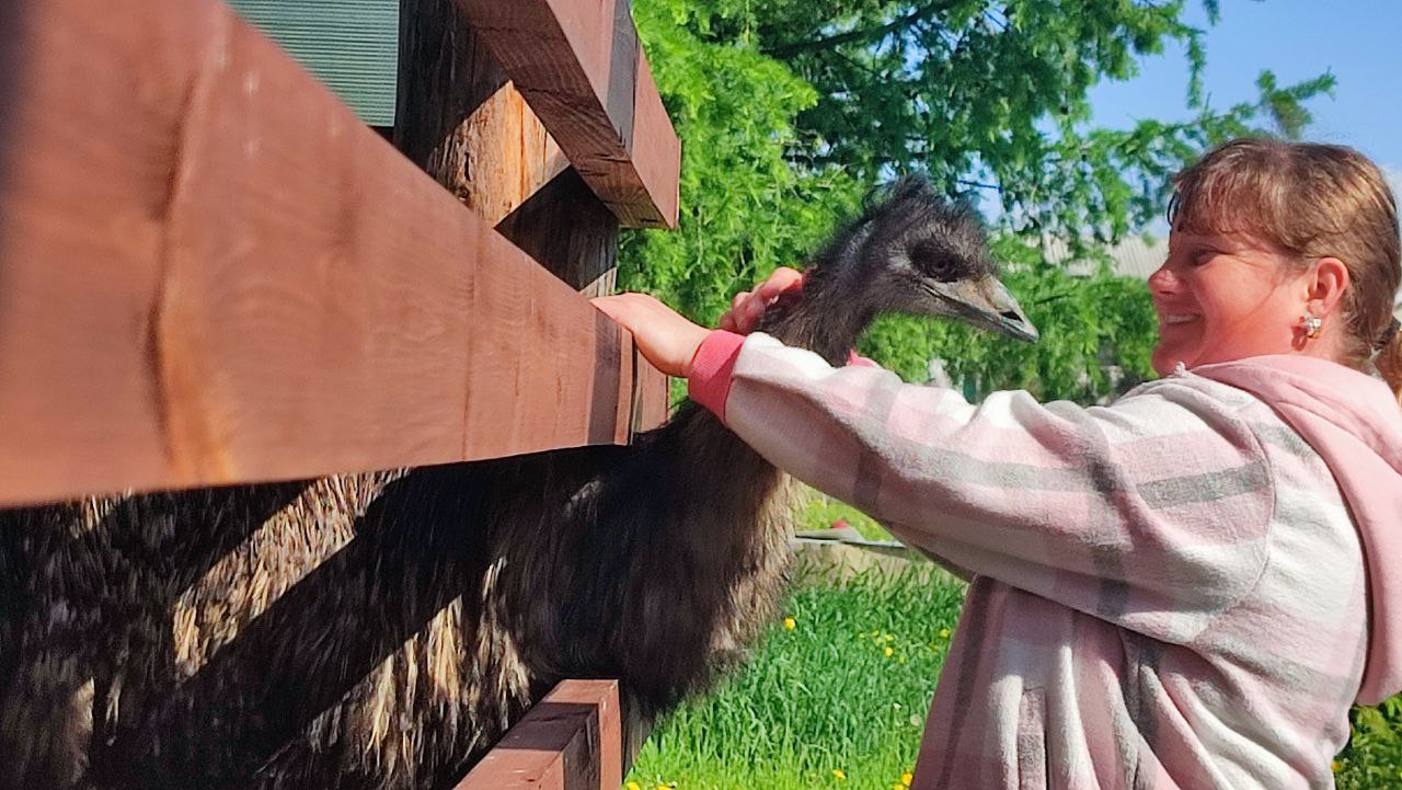 Экскурсии в контактный зоопарк